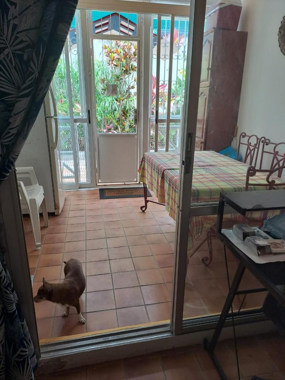 Appartement T2 Meuble Tout Confort 哥西尔 外观 照片